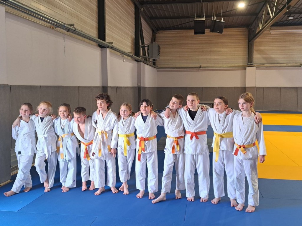 Image de l'actu 'finale des petits tigres 2025'