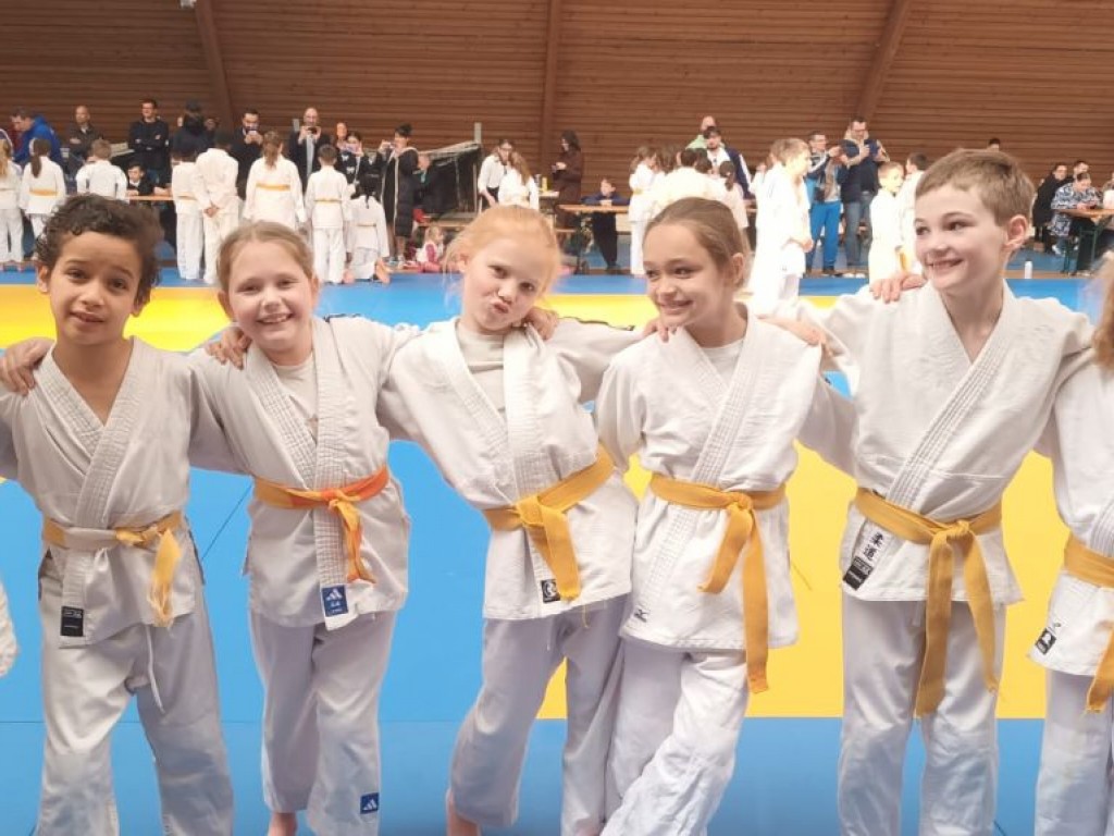 Image de l'actu 'dimanche 22 mars : finale des petits tigres'