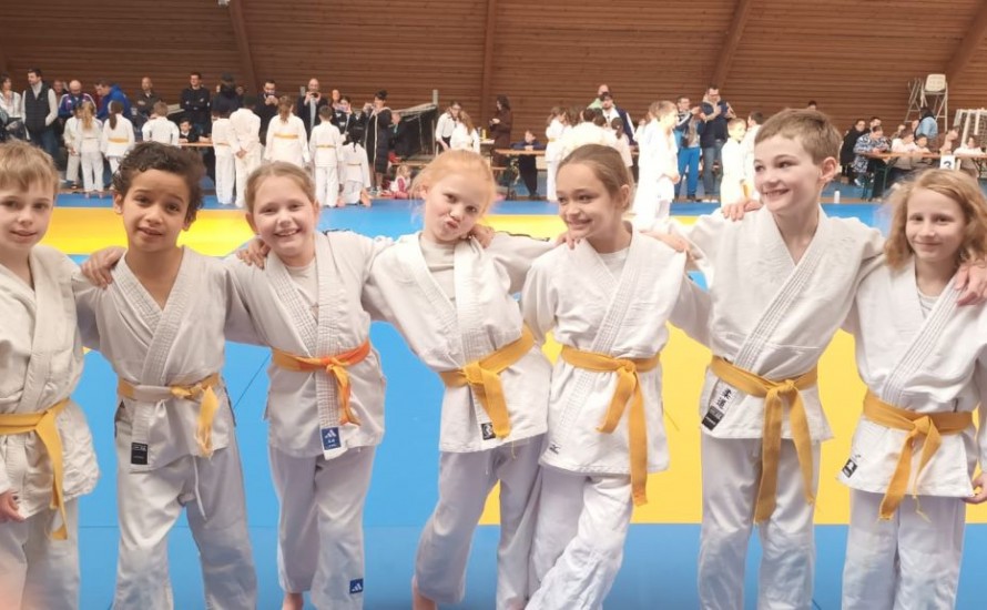 dimanche 22 mars : finale des petits tigres